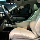 닥터 카테일링 이미지