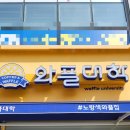 와플대학 세종다정 캠퍼스