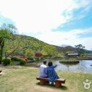 제주진도 이미지