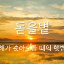 은진분식