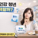 수원 새빛인강 청년 6개 플랫폼 비교 탈잉·유데미·윌라 직접 비교 (신청 전 꼭 보고 고르세요)