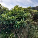 자은황토펜션 이미지