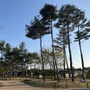 메뚜기 펜션 이미지