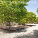 늘푸른캠핑장 | 가평 캠핑장 어비산계곡 늘푸른쉼터오토캠핑장 장기체류추천캠핑살아본후기
