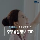 주부생활 카카오 검색결과