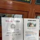 수려자연테라피 | [제주] 초록빛 힐링 식물원부터 시원한 제주 용암동굴, 이색 족욕 체험까지 ‘일출랜드’ 완벽 총정리 🌺