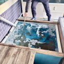 해원장횟집 | 사천 삼천포에서 찾은 블루리본서베이 Pick맛집, 해원장횟집 자연산 대광어 후기