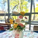 언더로뎀요양병원 | [언더로뎀요양병원/대구요양병원] 힐링의 시간, 4월 원예 테라피 프로그램_꽃꽂이 재능기부💐