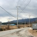 방어리 방지 이미지