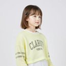주식회사 파프리카 네이버블로그