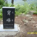 장산시장 이미지