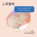 유하로R | [임신37주차] 임신일기, 마지막 기록 | 얼른 보자 아가 👶🏻🤍