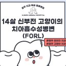 금호동물병원 이미지