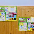 둥이마트 이미지