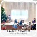 상촌길 | [경기 광주] 프라이빗 애견운동장 '오잉독' 대관 후기: 미남이와 친구들의 전세 뛰뛰!