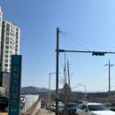 단양관광안내소 | [제천] 2026년 제2회 빨간오뎅축제 솔직후기❣️