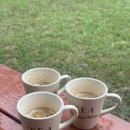 초록마을 강원 횡성점 | 횡성 여행 코스 추천 | 횡성시장 먹거리부터 횡성 병지방계곡까지