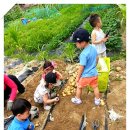 정후농장 이미지