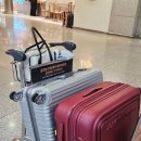 케이앤에스 컴퍼니(K&S Company) | 하와이 신혼여행기 (1) 빅아일랜드 5박6일