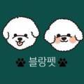광주강아지분양 블랑펫 네이버블로그