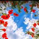 태화아파트 이미지