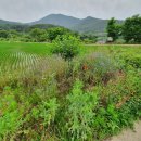 봉서 통나무 펜션 이미지