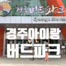경주 아이랑 가볼만한곳 경주 버드파크 동궁원 체험 후기 (먹이 꿀팁까지!)