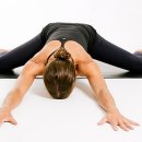 애룰바디 이미지