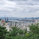 랜드21공인중개사사무소 이미지