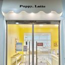 퍼피라떼 이미지