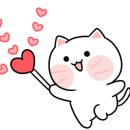 박찬헤어 이미지