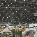 파주청과(과일) 이미지