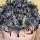 홍은설스타일리뷰 이미지