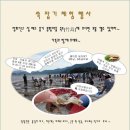 강진민박 이미지