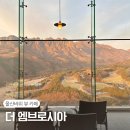 델피노 I 이미지