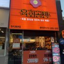 6849 | [충북 청주] 청주 생고기 현지인 맛집 재방문 많은 육회 뭉티기 맛집 육회공방