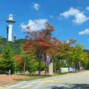 알펜시아콘서트홀 이미지