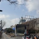 7183 | [노량진수산시장] 친절한 사장님이 계시는 삼치+방어 후기_서울수산