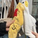 &lt;강원/속초&gt; 속초 소품샵 (신기루상점/호두잡화점/디글디글) 방문후기