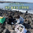 1365 | 아이와 함께한 제주 플로깅 김녕 후기 1365 신청방법