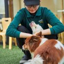 멍그라운드 이미지