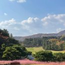 이포골프장 이미지