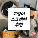 고양이 스크래쳐 추천 가또 빅써클 원형 스크래쳐 사용 후기 :)