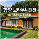 초월나비 | 함양펜션 브라우니펜션, 수영장 옆에서 고기 구우며 아이 볼 수 있는 함양계곡펜션 후기