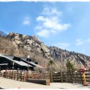 전망좋은휴게소 | 속초 반나절 여행 코스 한계령 동명항 산책 롯데리조트 알구펍 루프탑 전망