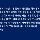 주식회사 길렌트카 티스토리