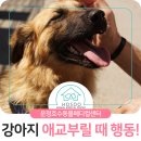 상모동물병원 이미지