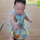 아기밥상 이미지