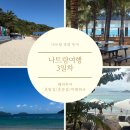 미래파크 | [나트랑 여행 3일차] 나트랑 호핑투어 | 혼땀섬, 혼문섬, 미래파크 | 내돈내산 후기