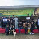 메이저 애견훈련학교 이미지